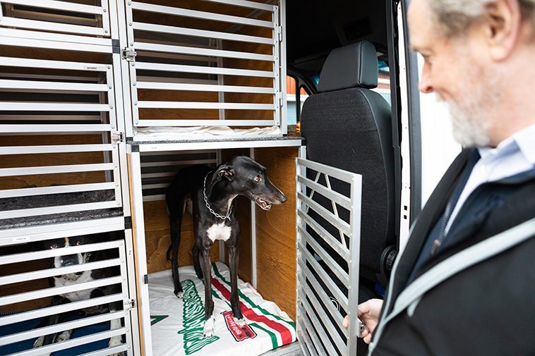 Kan detta vara världens första eldrivna hundtaxi?