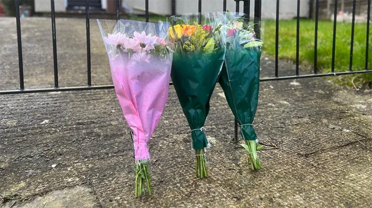 19-årig kvinna död efter misstänkt attack av XL Bully-hund