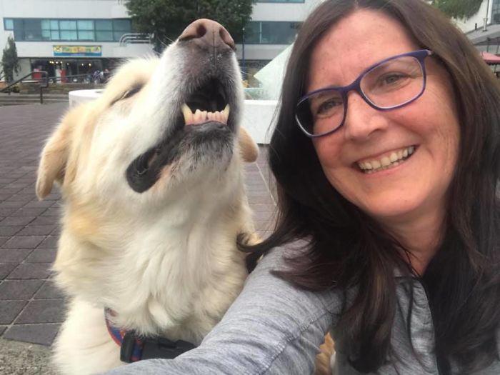 Överviktig hund skulle avlivas – nu sprider han glädje som terapihund