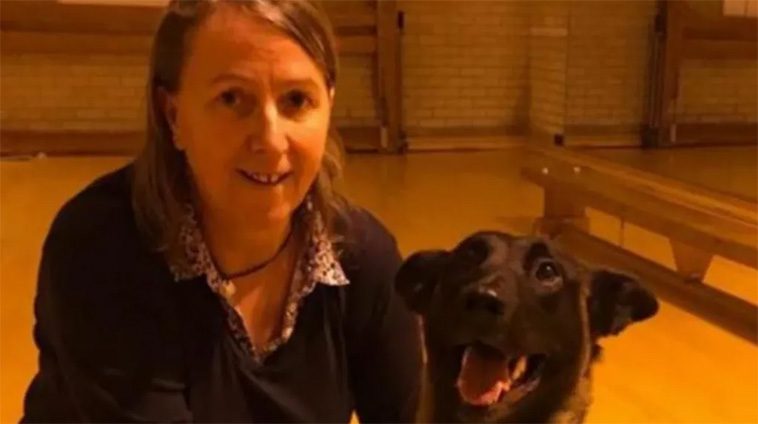 Trebent polishund nominerad till Crufts hjältepris