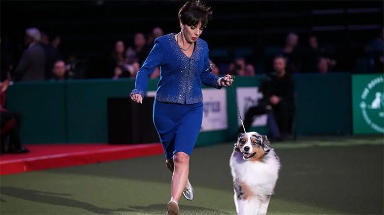 Idag börjar Crufts 2025 – här är tävlingen genom åren i bilder