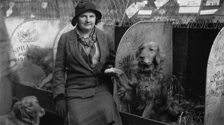Idag börjar Crufts 2025 – här är tävlingen genom åren i bilder