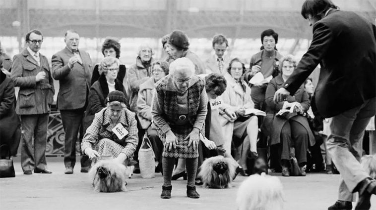 Idag börjar Crufts 2025 – här är tävlingen genom åren i bilder