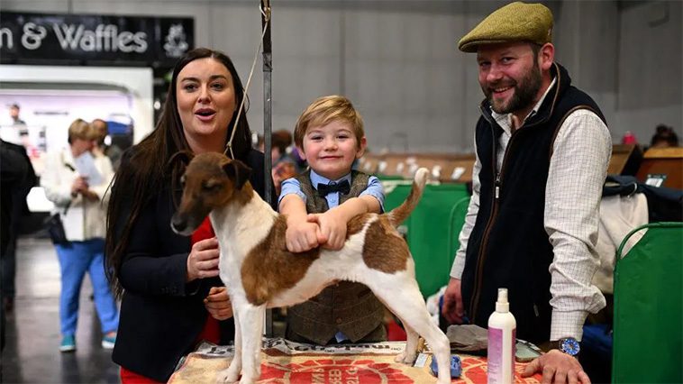 Freddie, 6 år, chockar Crufts – tar hem prestigefylld seger