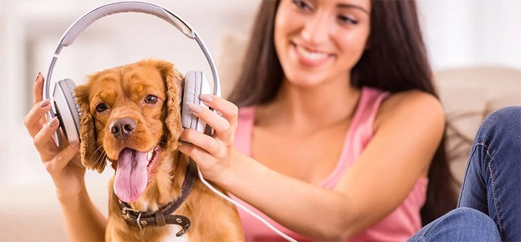 Hundcoachen Fredrik Steen bjuder på 238 låtar speciellt skapade för hundar