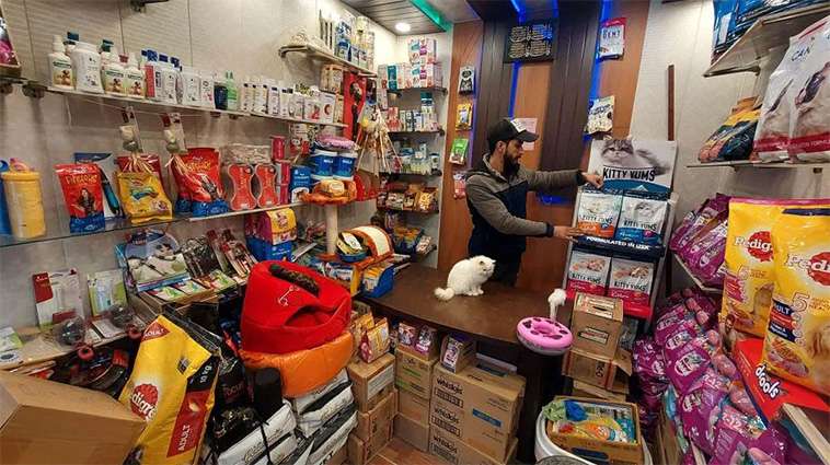 Husdjurens guldålder i Indien: Branschen rusar mot 7 miljarder dollar