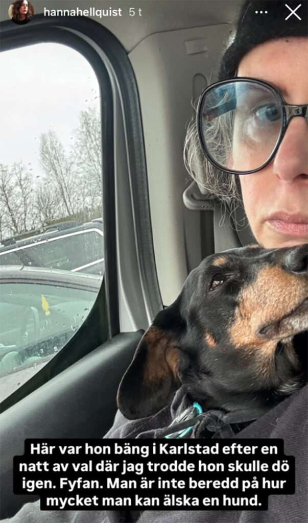 Massiv insamling för Hanna Hellquists hund Ines – över 90 000 kronor samlade