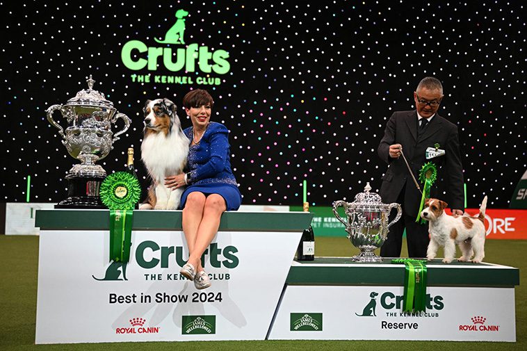 Så lite får vinnaren av 'Best in Show' på Crufts – chockande låga prispengar avslöjade