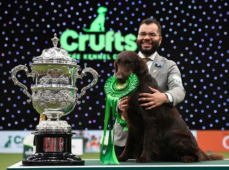 Så lite får vinnaren av 'Best in Show' på Crufts – chockande låga prispengar avslöjade