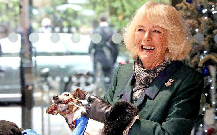 Drottning Camilla av Storbritannien älskar omplaceringshundar – och det borde vi också göra