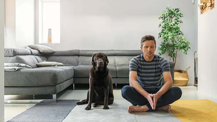 Hundars stressnivåer påverkas av sina ägares välmående