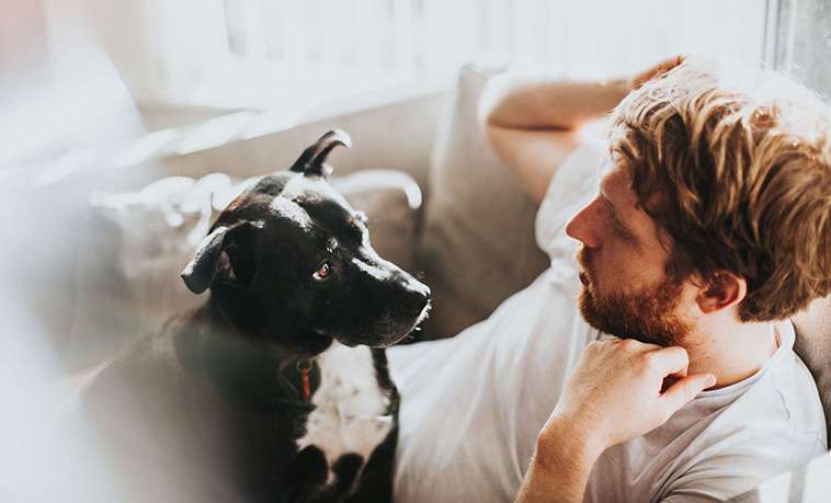 Hundars stressnivåer påverkas av sina ägares välmående