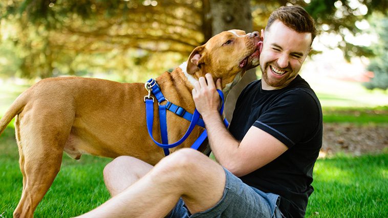 Hundtränarens bästa tips: 7 regler för en väluppfostrad hund