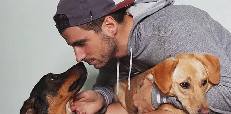 Varför du inte ska klappa din hund när den är rädd – Djurbeteendeexpert förklarar