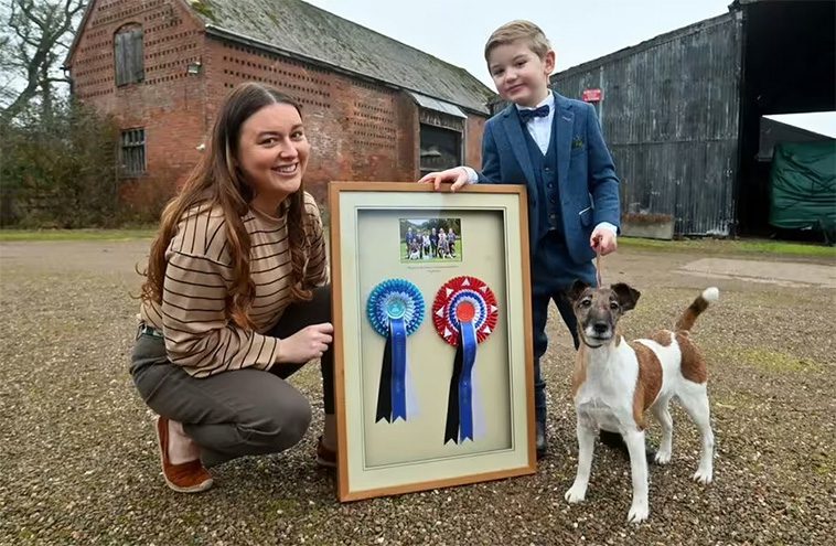 Sexåring skriver historia – yngsta tävlanden någonsin på Crufts