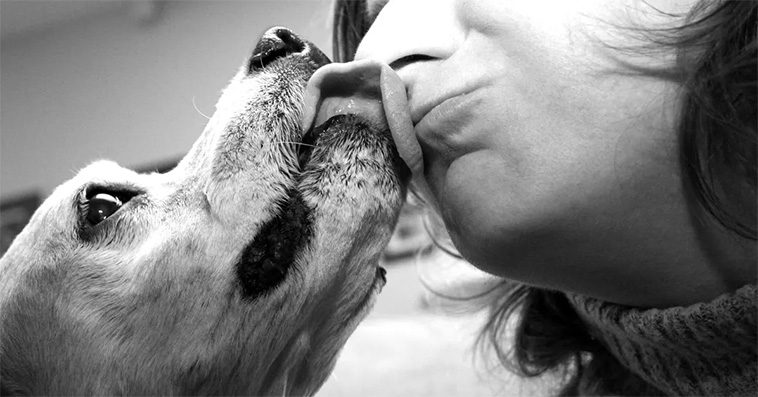 "Hundpung från golv till tak" – Flashback-användaren som nobbar alla män med hund