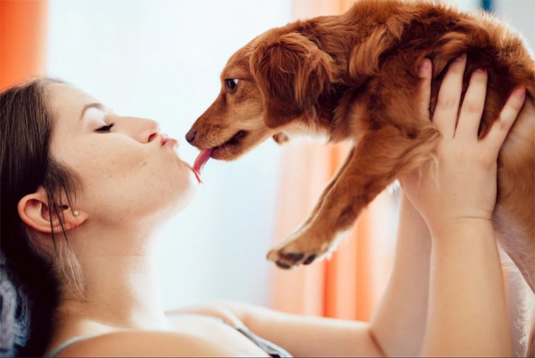 "Hundpung från golv till tak" – Flashback-användaren som nobbar alla män med hund