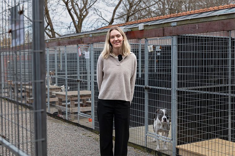 Djursamlare blir allt vanligare – hundratals hundar räddas varje år