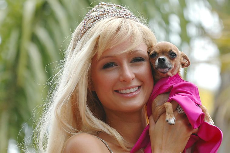 Paris Hilton tillsammans med Chihuahuan Tinkerbell.