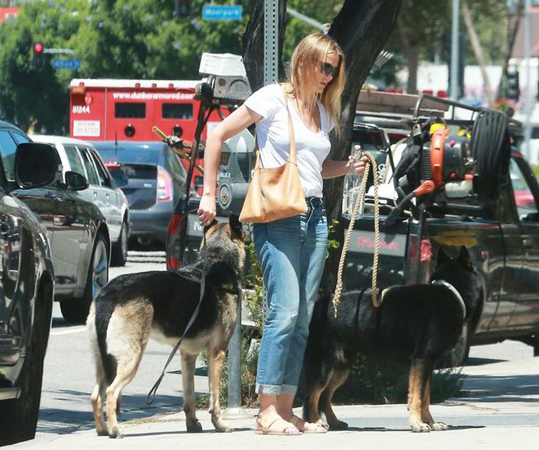 Hollywoods hemliga favorit – kändiselitens kärlek till Tysk Schäferhund i unika bilder