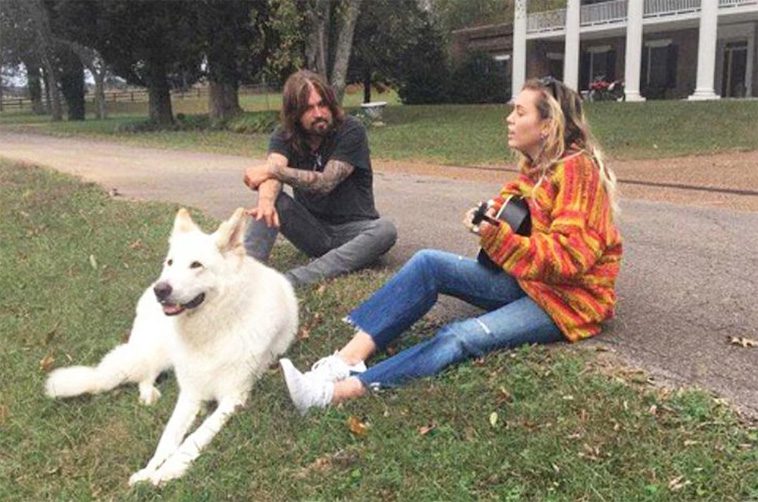 Hollywoods hemliga favorit – kändiselitens kärlek till Tysk Schäferhund i unika bilder