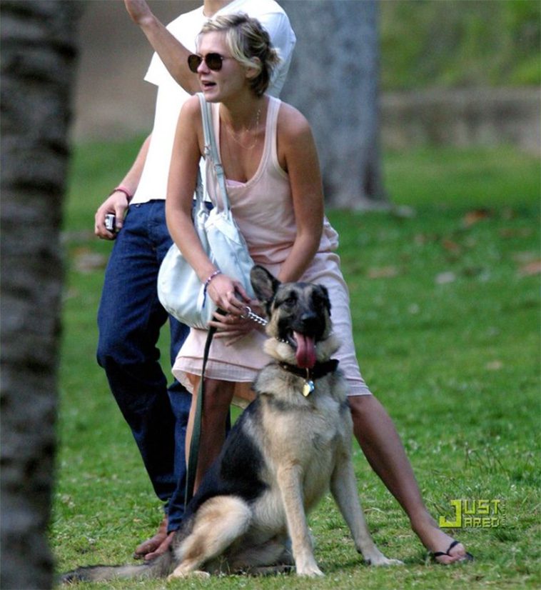 Hollywoods hemliga favorit – kändiselitens kärlek till Tysk Schäferhund i unika bilder