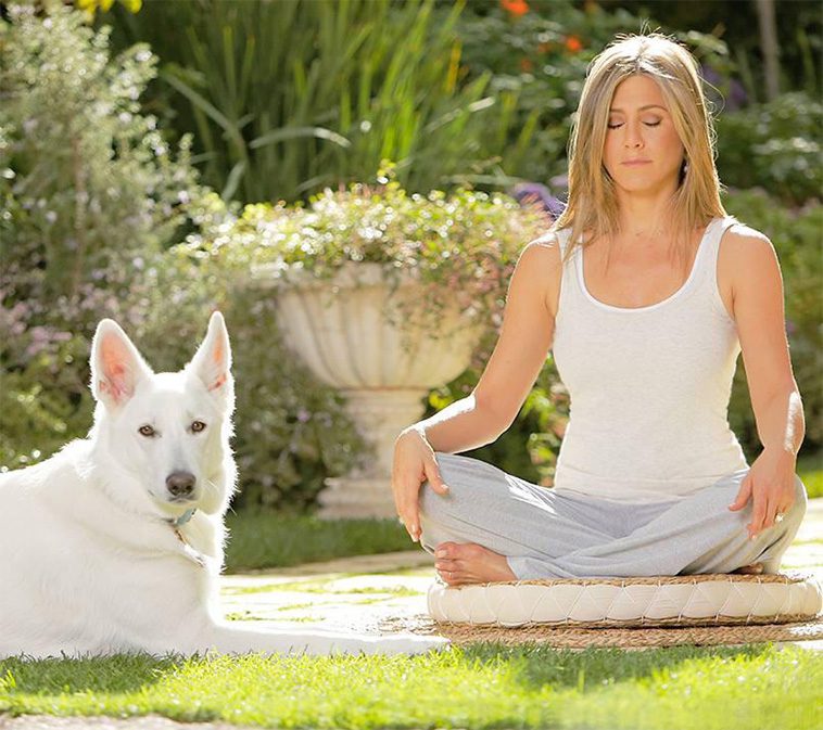 Hollywoods hemliga favorit – kändiselitens kärlek till Tysk Schäferhund i unika bilder