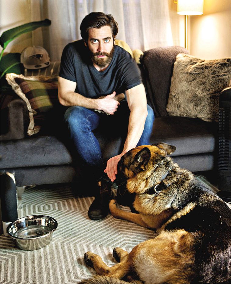 Hollywoods hemliga favorit – kändiselitens kärlek till Tysk Schäferhund i unika bilder