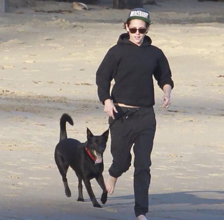 Hollywoods hemliga favorit – 17 kändisar och deras kärlek till Tysk Schäferhund i unika bilder