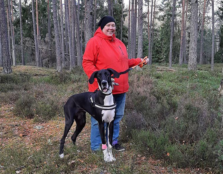Månadens vovve: Den camping-glada jätten Rush