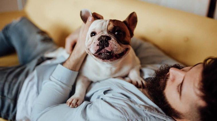 Ny studie: Din hund eller katt är värd mer än pengar för din hälsa