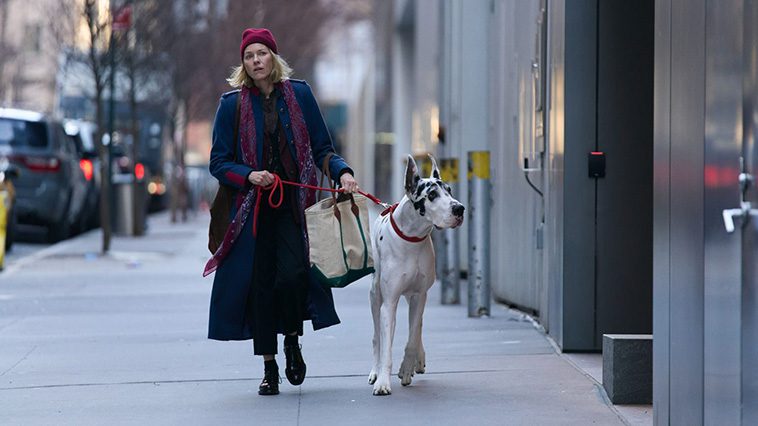 'The Friend' – En film där stjärnan är en riktigt duktig kille