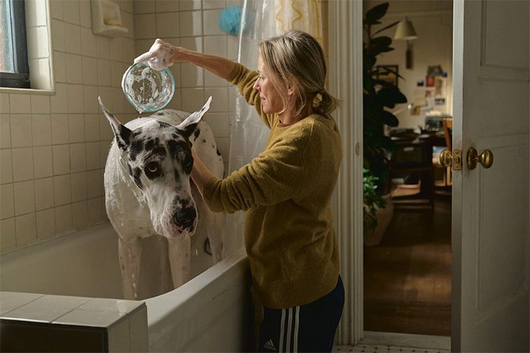 'The Friend' – En film där stjärnan är en riktigt duktig kille