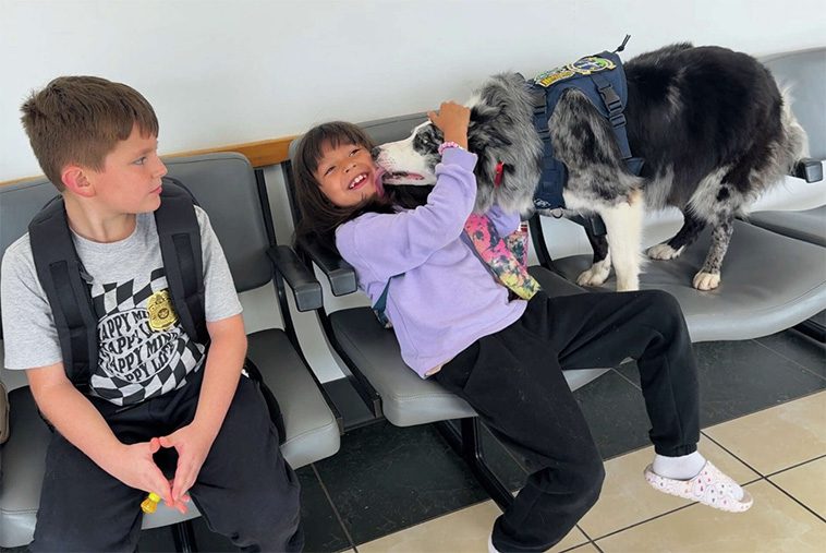 Möt två fyrbenta flygsäkerhetshjältar: Border Collies håller vilda djur borta från landningsbanan