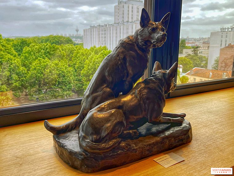 Nytt hundmuseum öppnar i Paris – ett paradis för både tvåbenta och fyrbenta besökare