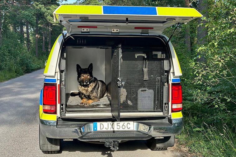 Flera poliser vägrar använda nya hundförarbilen: "Samlar damm"