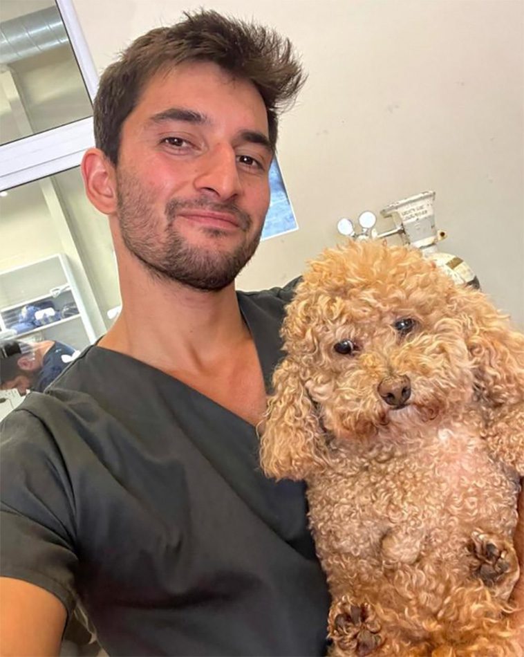 Veterinär delar med sig av svaren han helst slipper höra när han berättar att en hund är överviktig
