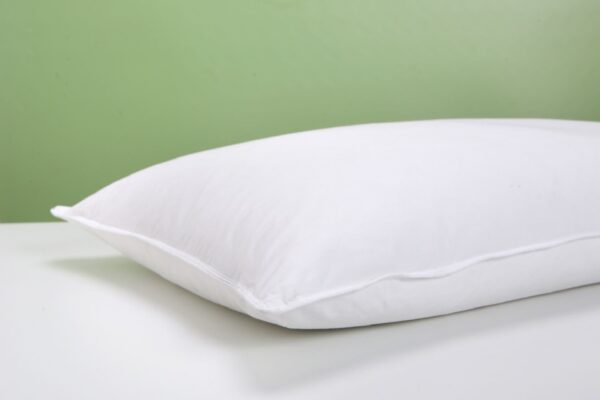 Duck Feather Pillows (4)