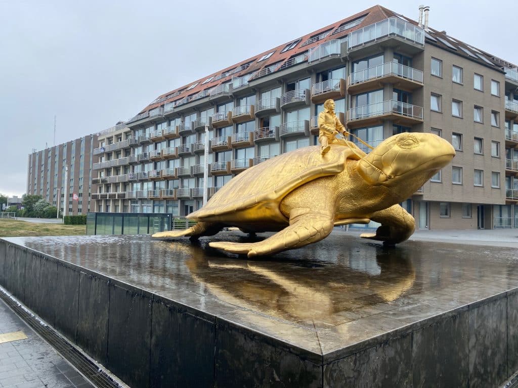 Schildpadrace aan zee?