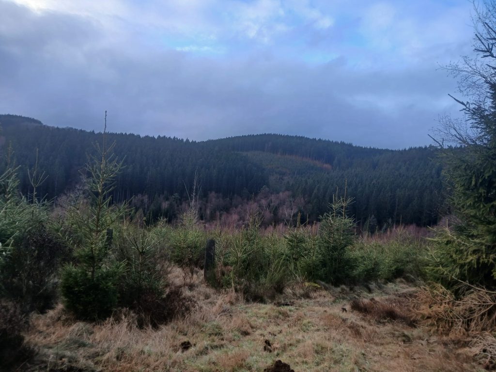 natuurbeeld