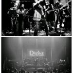 Lavvi Ebbel + D-Zine