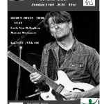 Shawn Jones Trio (Americana & Blues-Rock)