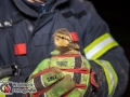 Ein Entenküken ging am Montag in Hamburg-Oldenfelde auf Wanderschaft. Unbemerkt von Mama Ente watschelte der kleine Ausreißer in Nachbars Garten. Doch plötzlich fiel das kleine Küken in das Rohr einer Sickergrube. Die Anwohner bemerkten das Quaken des kleinen Ausreißers und das aufgeregte Schnattern von Mama Ente und alarmierten die Feuerwehr. Die Feuerwehr rückte mit 20 Mann an und buddelte erstmal das Rohr aus, in der Hoffnung an das Küken zu kommen. Dies gelang aber nicht, da das Küken schon auf Erkundungstour im Rohr unterwegs war. Nach langem suchen fand man dann das Ende des Rohres und spülte es vorsichtig mit Wasser durch, sodass der Ausreißer herausgeschwemmt wurde. Fürsorglich kümmerte sich ein Feuerwehrmann um den Kleinen und brachte ihn zu seiner Mama in den Nachbarteich. Ente gut, alles gut. Die Freiwillige Feuerwehr Oldenfelde, die am Montagabend ihre Wehrführerwahl haben sollte, konnte die Wahl, wenn auch verspätet, durchführen und hat nun einen neuen Wehrführer. Foto: Dominick Waldeck