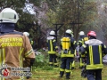 24.10.2016 ca. 9:30 Uhr - Quickborn, Berckholtzstraße - Aus ungeklärter Ursache brach ein Feuer auf dem Gelände einer alten Munitionsfabrik aus und zerstörte Teile eines hölzernen Unterstandes. Da die Rauchentwicklung anfangs enorm war, wurde der 3. Alarm ausgerufen. Die Feuerwehr aus Bilsen konnte jedoch auf der Anfahrt abbrechen, denn die Feuerwehren aus Quickborn und Hasloh hatten den brand schnell unter Kontrolle. Mit 40 Mann wurde der Brand bekämpft und anschließend die Überreste mit Schaum geflutet. Verletzt wurde niemand. Foto: Dominick Waldeck