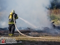 Am Puckaffer Weg in HH-Duvensteedt kam es zu einem Brand von mehreren Heuballen. Vermutlich ausgelöst durch Funkenflug eines Lagerfeuers gerieten die Heuballen in Brand. Die Feuerwehr musste eine Wasserversorgung über lange Wegstrecken aufbauen, um ausreichend Wasser zum Löschen zu bekommen. Mit einem Radlader wurden die Rundballen auseinander gezogen, um an alle Glutnester zu kommen. Der Einsatz war für die Einsatzkräfte sehr Kräftezehred bei den hohen Temperaturen. Foto: Dominick Waldeck