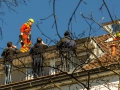 Taube von Höhenretter vom Erker gerettet Foto: Dominick Waldeck