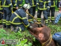 Bei einem Ausritt fiel ein Pferd samt Reiterin in einen Graben. Die Reiterin war zunächst unter ihrem Pferd eingeklemmt, konnte sich zum Glück aber selbst befreien. Sie wurde rettungsdienstlich versorgt. Die Feuerwehr musste dann nur noch das Pferd aus seiner Notlage befreien. Dazu versuchten sie es zunächst mit Manneskraft, was jedoch an der Höhe des Grabens scheiterte. Die Drehleiter rückte an und hob das Pferd mittels Kranvorrichtung aus dem Schlamm. Das Pferd blieb unversehrt, genauso wie die Reiterin. Den Ausritt konnten beide aber trotzdem nicht fortsetzen. Foto: Dominick Waldeck