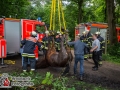 Bei einem Ausritt fiel ein Pferd samt Reiterin in einen Graben. Die Reiterin war zunächst unter ihrem Pferd eingeklemmt, konnte sich zum Glück aber selbst befreien. Sie wurde rettungsdienstlich versorgt. Die Feuerwehr musste dann nur noch das Pferd aus seiner Notlage befreien. Dazu versuchten sie es zunächst mit Manneskraft, was jedoch an der Höhe des Grabens scheiterte. Die Drehleiter rückte an und hob das Pferd mittels Kranvorrichtung aus dem Schlamm. Das Pferd blieb unversehrt, genauso wie die Reiterin. Den Ausritt konnten beide aber trotzdem nicht fortsetzen. Foto: Dominick Waldeck