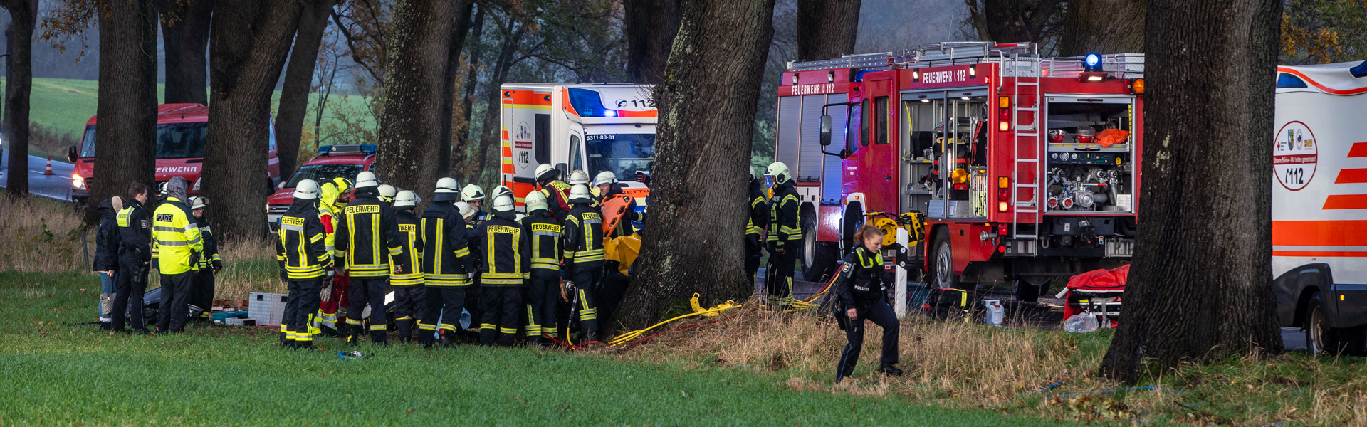 14.11.2023 – Schwere Rettung nach Baumunfall