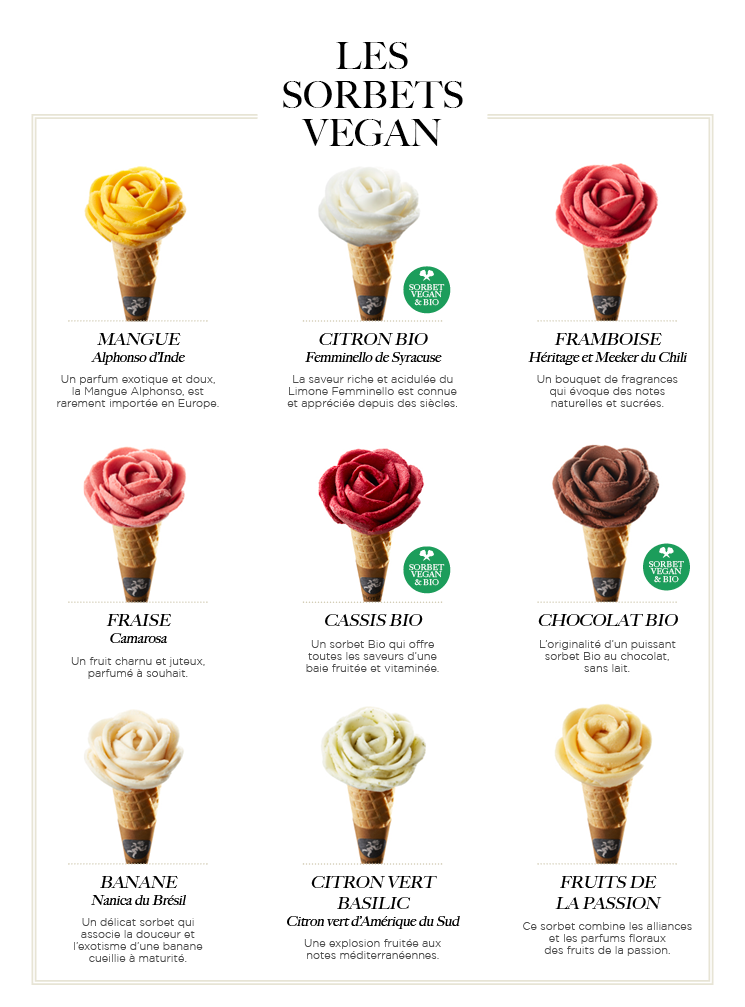 Les Sorbets Vegan Amorino Glaces